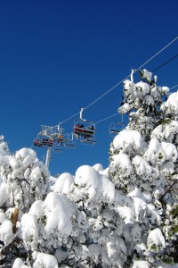 Borovets